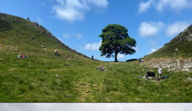 2 men are convicted of cutting down English landmark : NPR