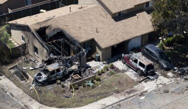 What we know about the San Diego plane crash and its victims, including music executive Dave Shapiro