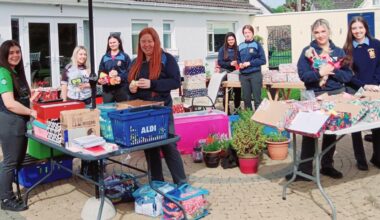 Rochfortbridge shoeboxes ready for Moldova