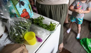 What we allow: health and policy