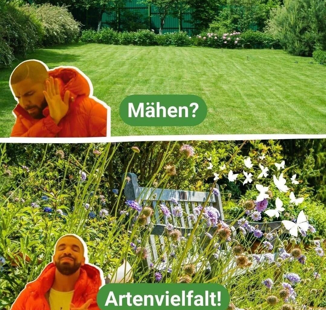 Mähroboter? Rasen? Igelschredder?
