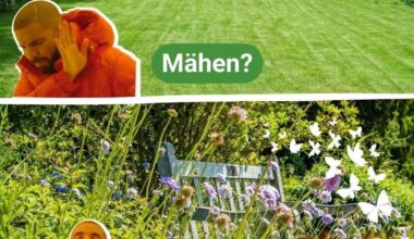 Mähroboter? Rasen? Igelschredder?