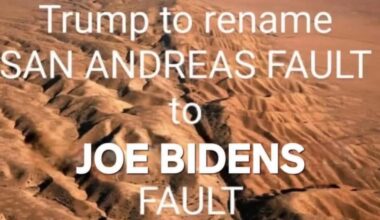 Just blame Biden
