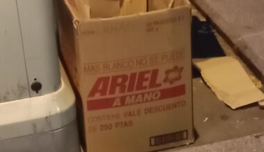 No acababan de decidirse a tirarla...