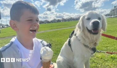 'My son was killed by criminals making cannabis'. Seven-year-old Archie York was killed in a blast in Newcastle caused by his neighbour's illegal attempts to make cannabis sweets.