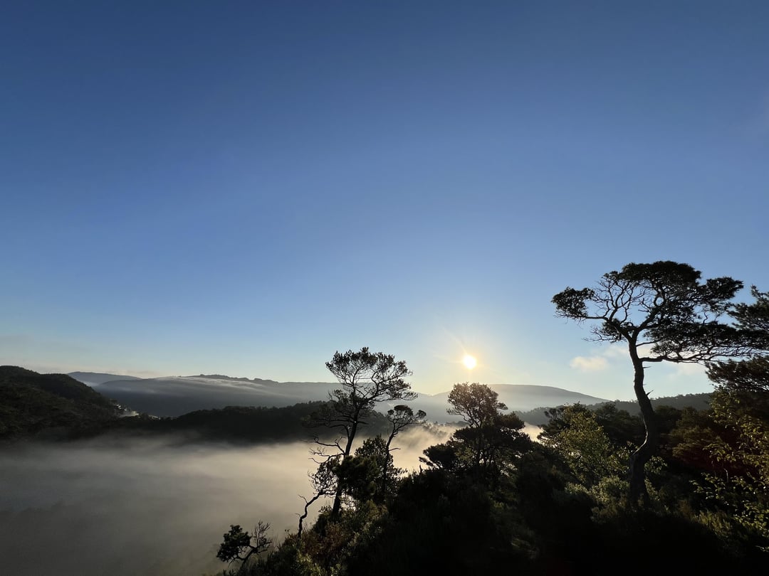 Nature around Bergen