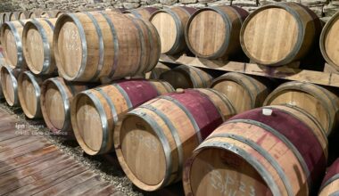 "7000 years under wine": Moldova explores its origins of viticulture