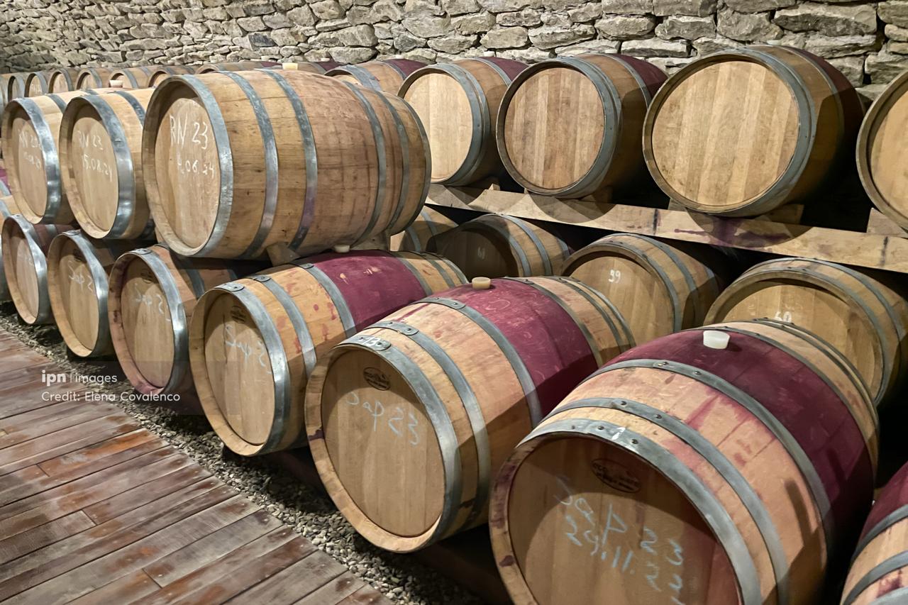 "7000 years under wine": Moldova explores its origins of viticulture