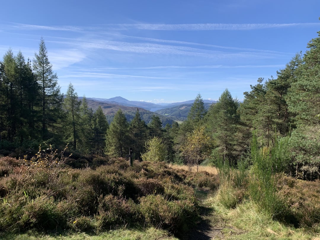 Some photos I took in Pitlochry last year, a trip that made me realise I really need to explore our country more.