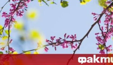 Времето днес, прогноза за петък, 2 май: Слънчево, следобед на места в Западна и Централна България ще превали и прегърми ᐉ Новини от Fakti.bg - България