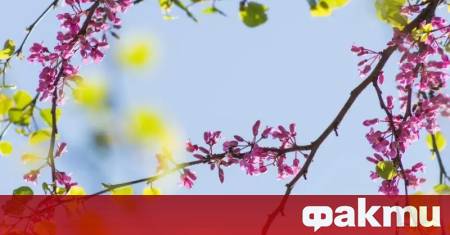 Времето днес, прогноза за петък, 2 май: Слънчево, следобед на места в Западна и Централна България ще превали и прегърми ᐉ Новини от Fakti.bg - България