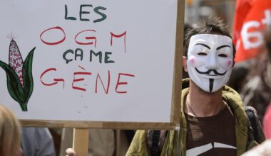 Une faible majorité de Suisses se prononce contre l'introduction des nouveaux OGM - rts.ch