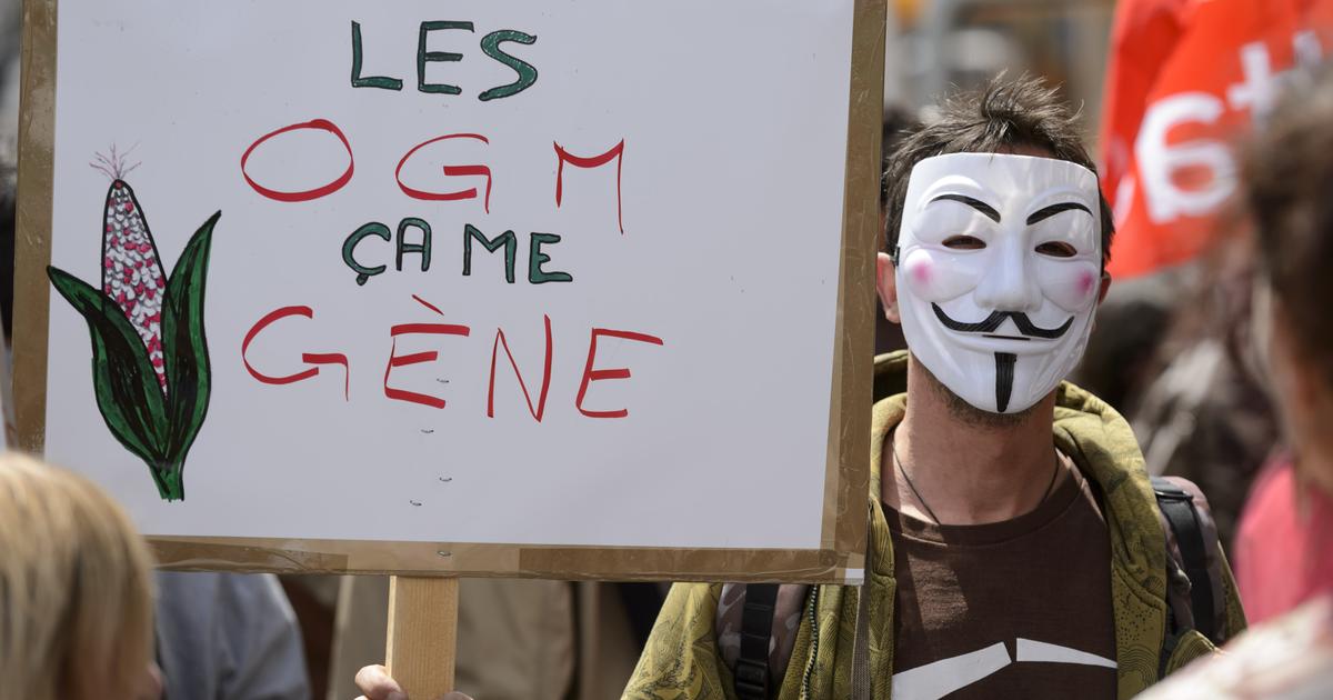 Une faible majorité de Suisses se prononce contre l'introduction des nouveaux OGM - rts.ch