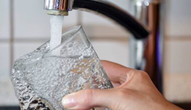 Warum es in Trier kein Trinkwasser aus der Mosel gibt