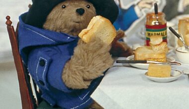 Paddington Bear Visits Chasiv Yar