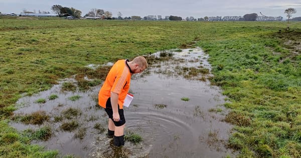Waikato farm manager fined for 'highly careless' effluent pollution