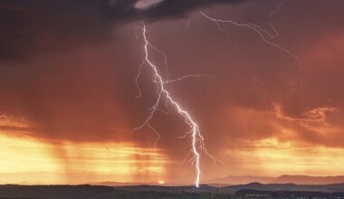 Climate Change Impact on Festivals: Fan Hesitation