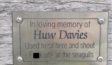 this is by far the Best memorial ive ever saw on a park bench