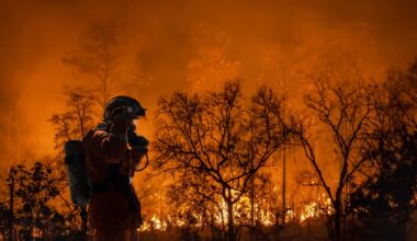 Firefighter battles wildfire.