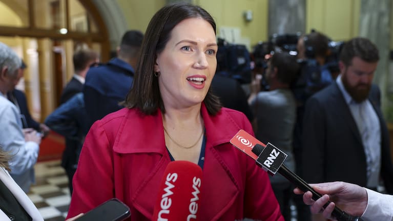 Workplace Relations Minister Brooke van Velden.