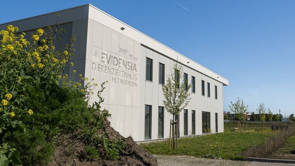 'Keten Evidensia moet dierenklinieken sluiten door uittocht personeel'