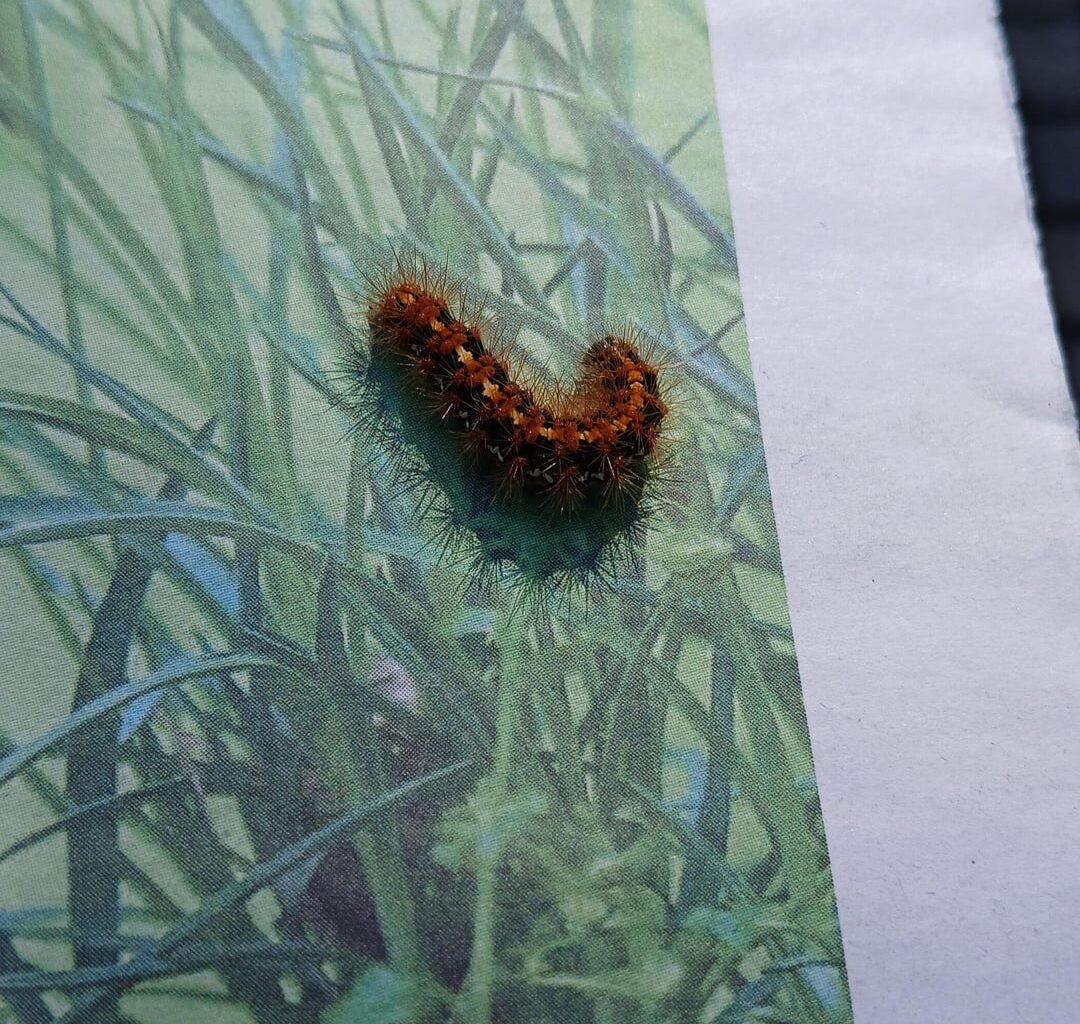 Bin ich gefährlich?