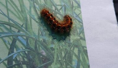 Bin ich gefährlich?