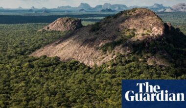 Ten dead in brutal beheading attacks by Isis-linked militants on Mozambique wildlife reserve