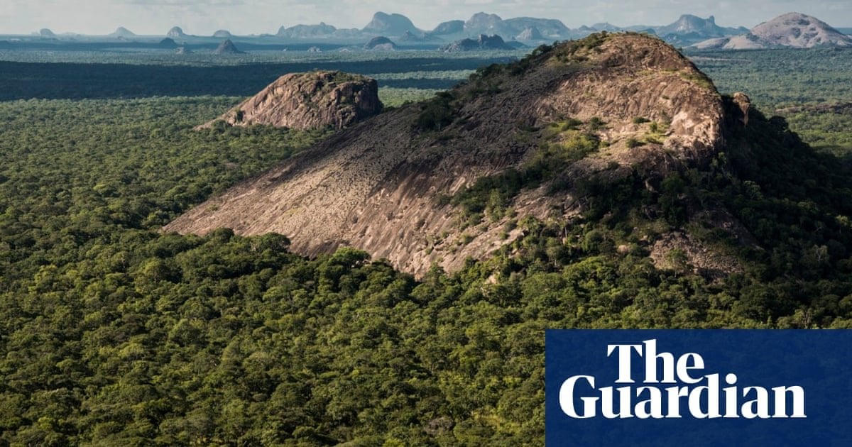 Ten dead in brutal beheading attacks by Isis-linked militants on Mozambique wildlife reserve