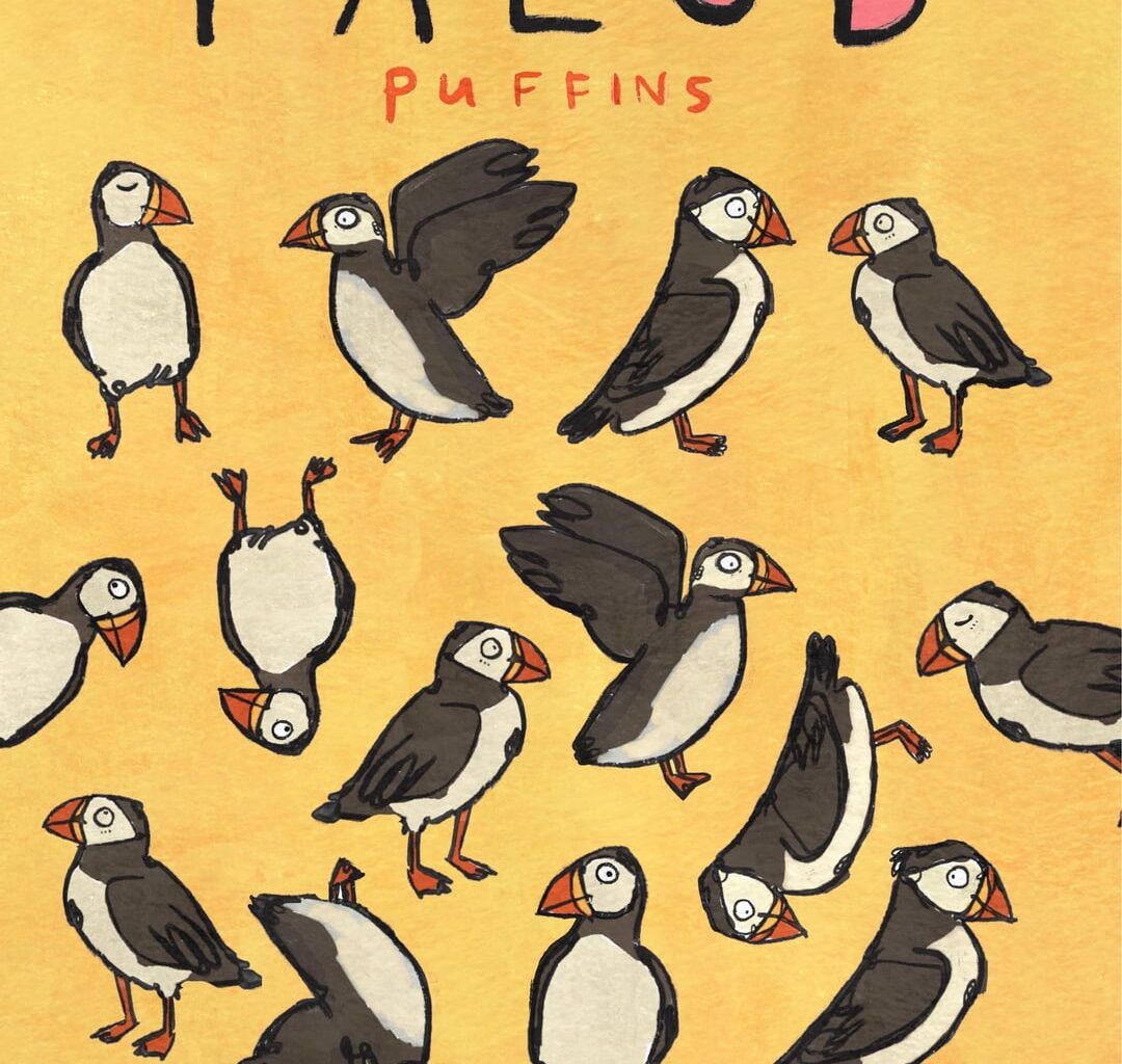Pâl: Puffin (also spade)
