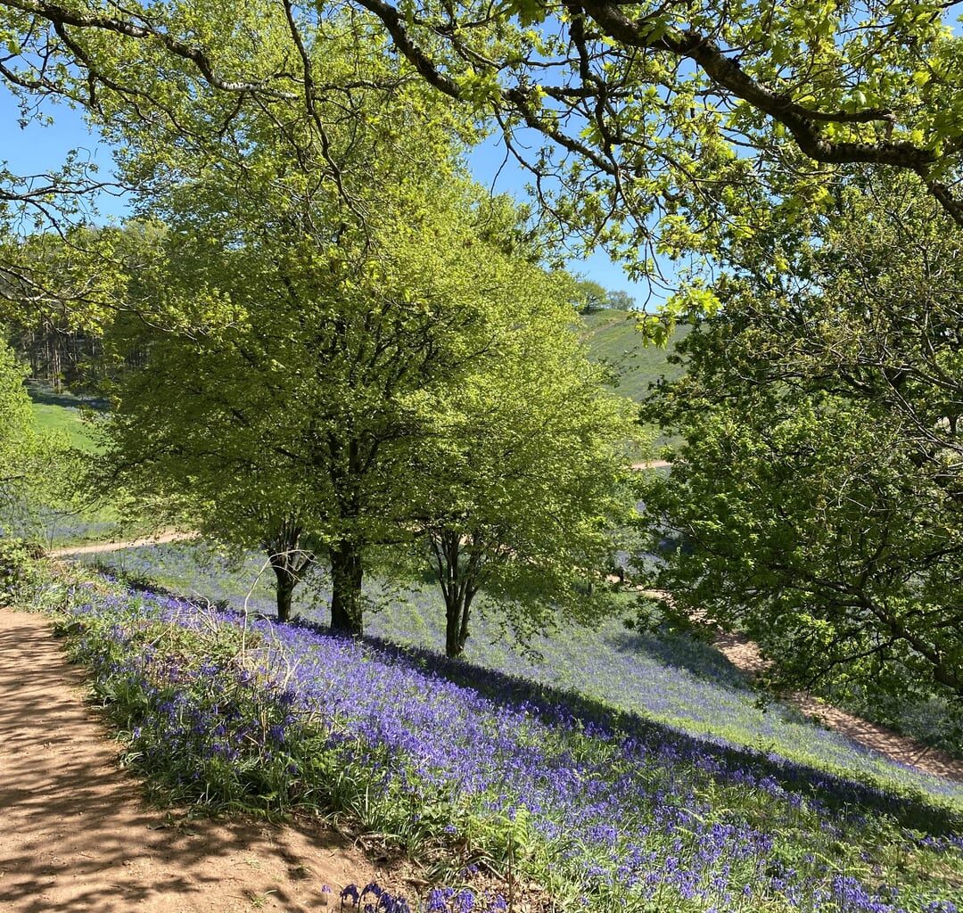 Birmingham, yesterday, if youd believe it - Clent Hills