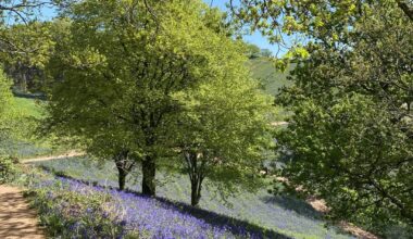 Birmingham, yesterday, if youd believe it - Clent Hills