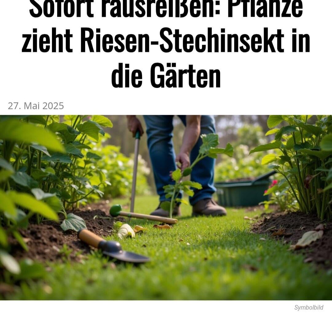 Was halten wir von solchen Berichten?