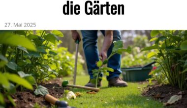 Was halten wir von solchen Berichten?