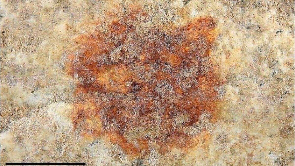Descubierta en Segovia la huella dactilar humana más antigua del mundo