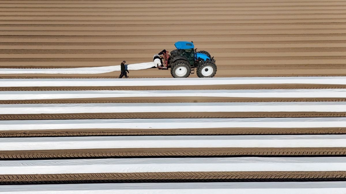 Die Deutschen sind nicht faul – die Arbeitswelt ist mies
