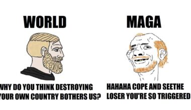 MAGA Logic?