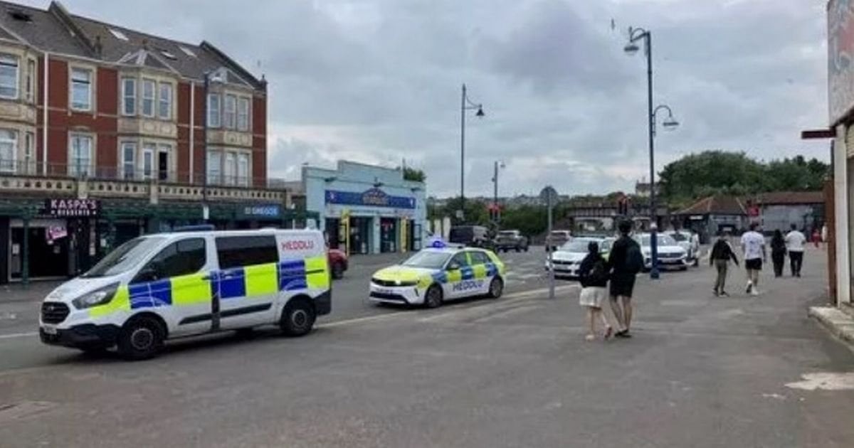 Young lad, 16, dies at amusement park as police investigation launched