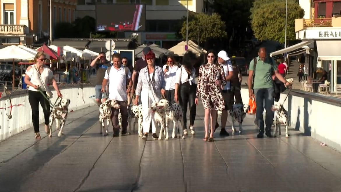 zadar dog-friendly destination