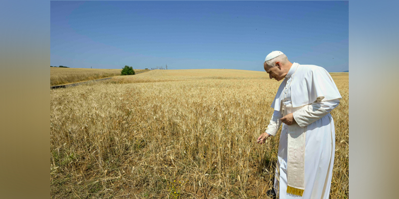 Pope visits site of possible Vatican solar farm