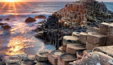 EPA Invests €21.4M in Climate and Environmental Research Across Ireland -- Environmental Protection