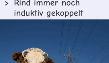 ich🐮iel