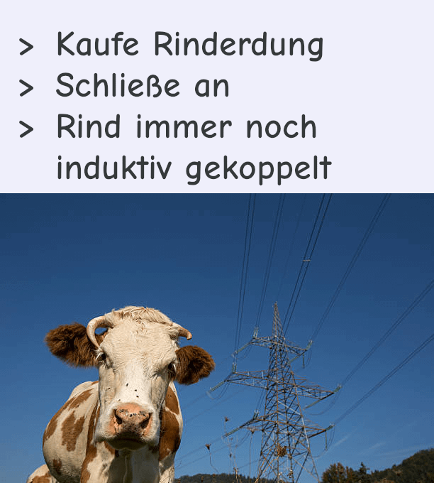 ich🐮iel