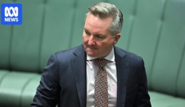Bowen open to carbon tariff, says Australia must 'do more' to hit 2030 climate target but remains on track
