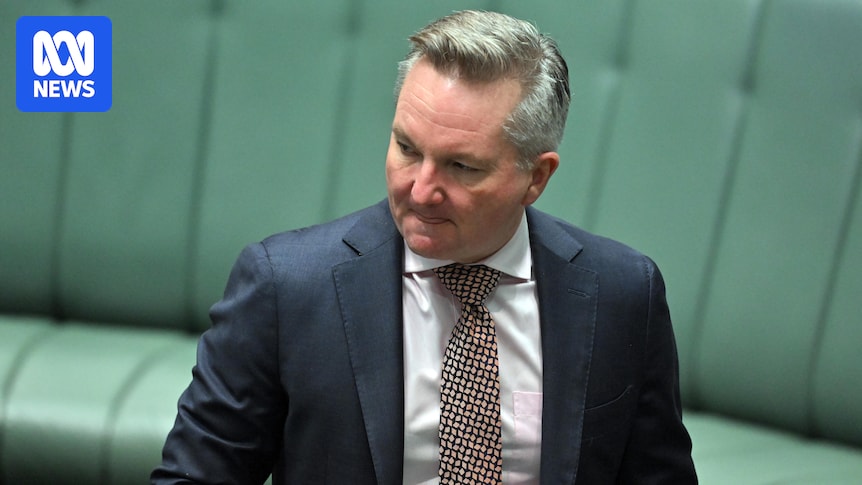 Bowen open to carbon tariff, says Australia must 'do more' to hit 2030 climate target but remains on track