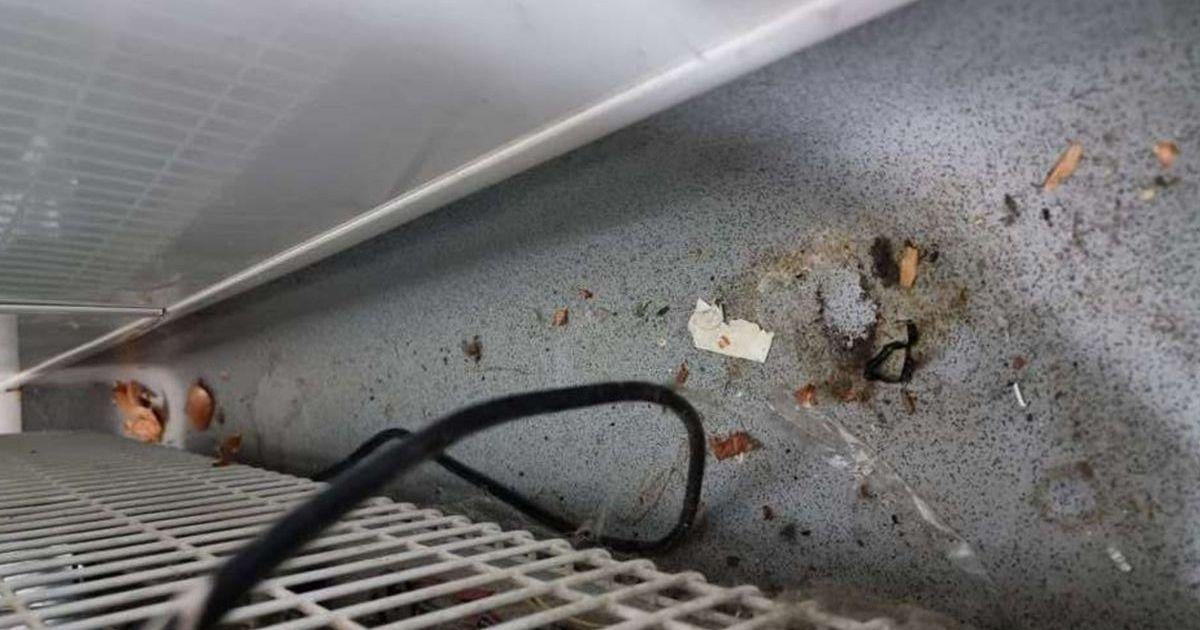 Restaurants and businesses with a food hygiene zero in Wales