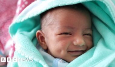 World fertility rates in 'unprecedented decline', UN says - BBC News