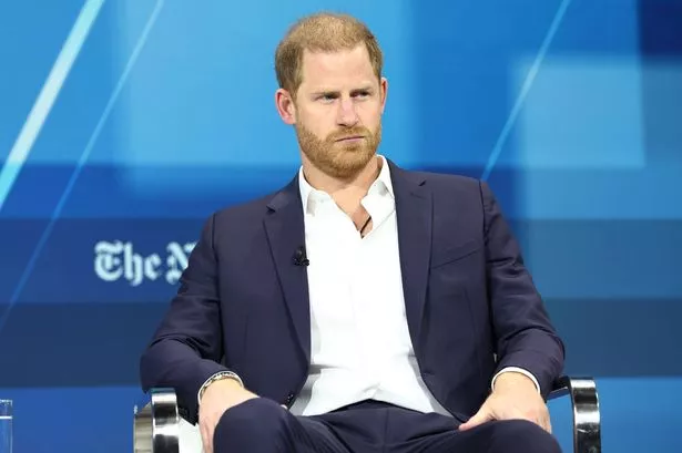 Prince Harry at the 2024 DealBook Summit in New York
