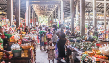 IMF Praises Togo’s Economic Gains Amid Fragile Sub-Saharan Recovery