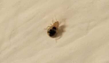 PARASITES MLADA GARDA STUDENT DORMITORY!!!!